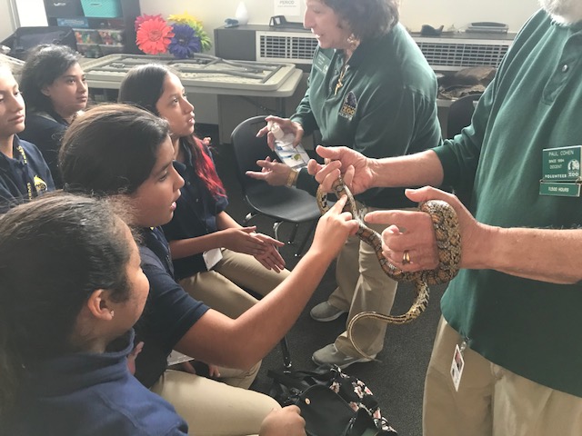 Enrichments That Promote Academic Success